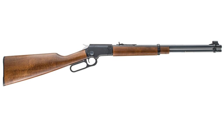 CHIAPPA FIREARMS LA322 TAKEDOWN 22LR 18.5″ BLK