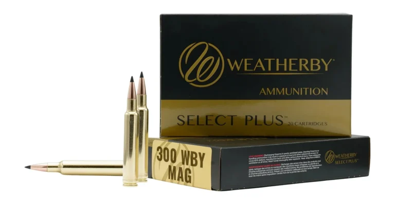 WEATHERBY 300WBY 165GR HDY INTERLOCK