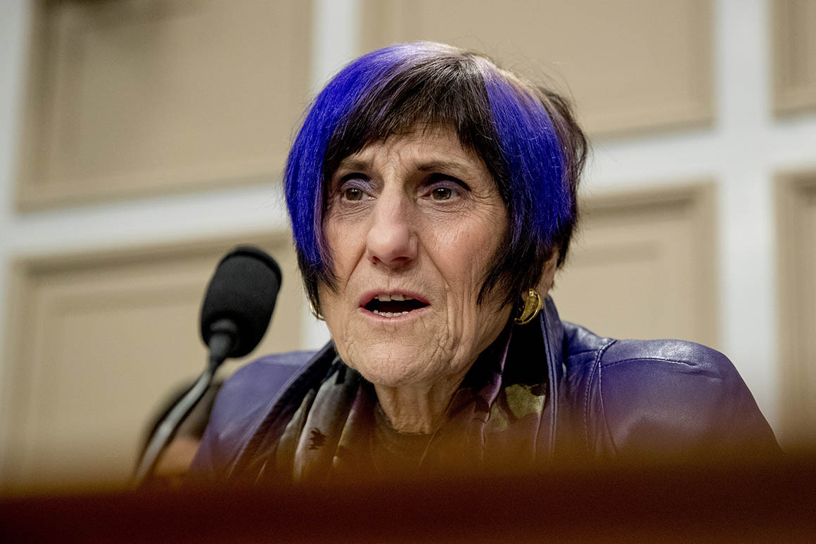 Representative Rosa DeLauro Deomcrat from Connecticut