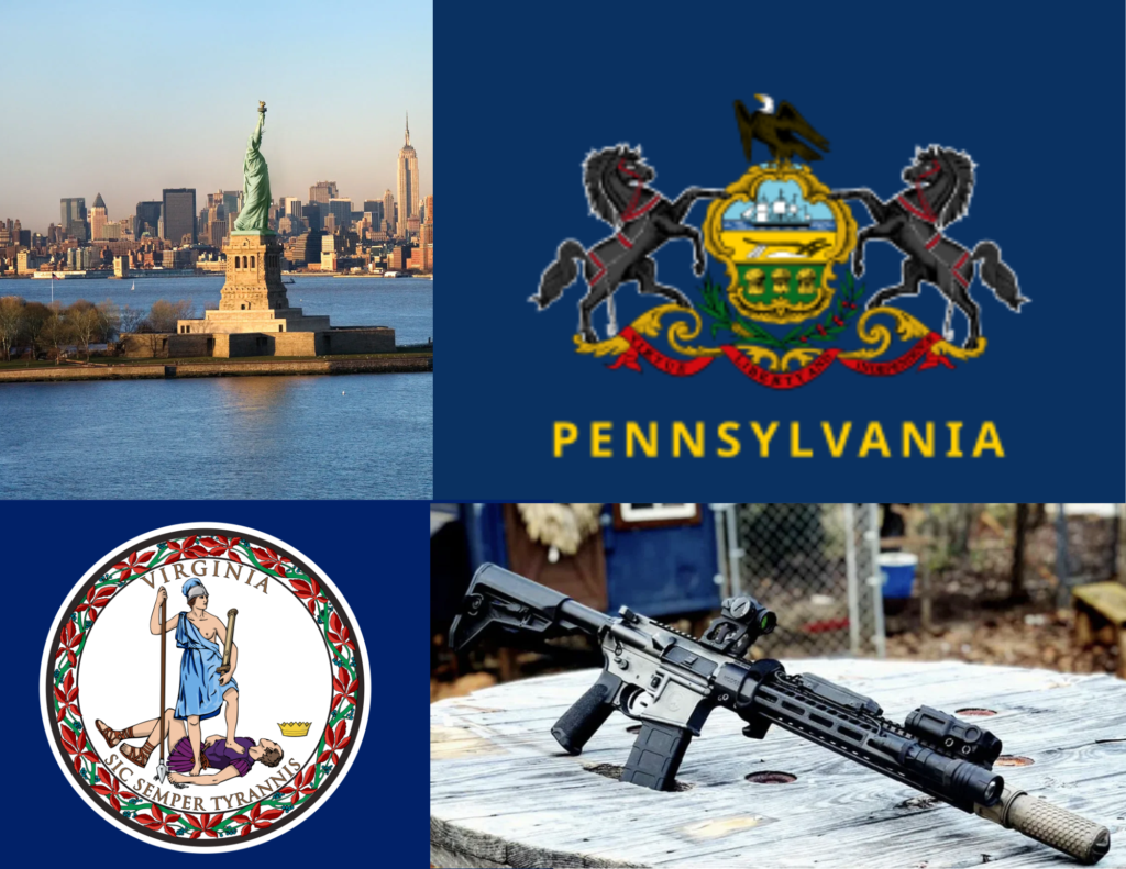 Statue of Liberty, AR-15, Flag of Pennsylvania, Flag of Virginia