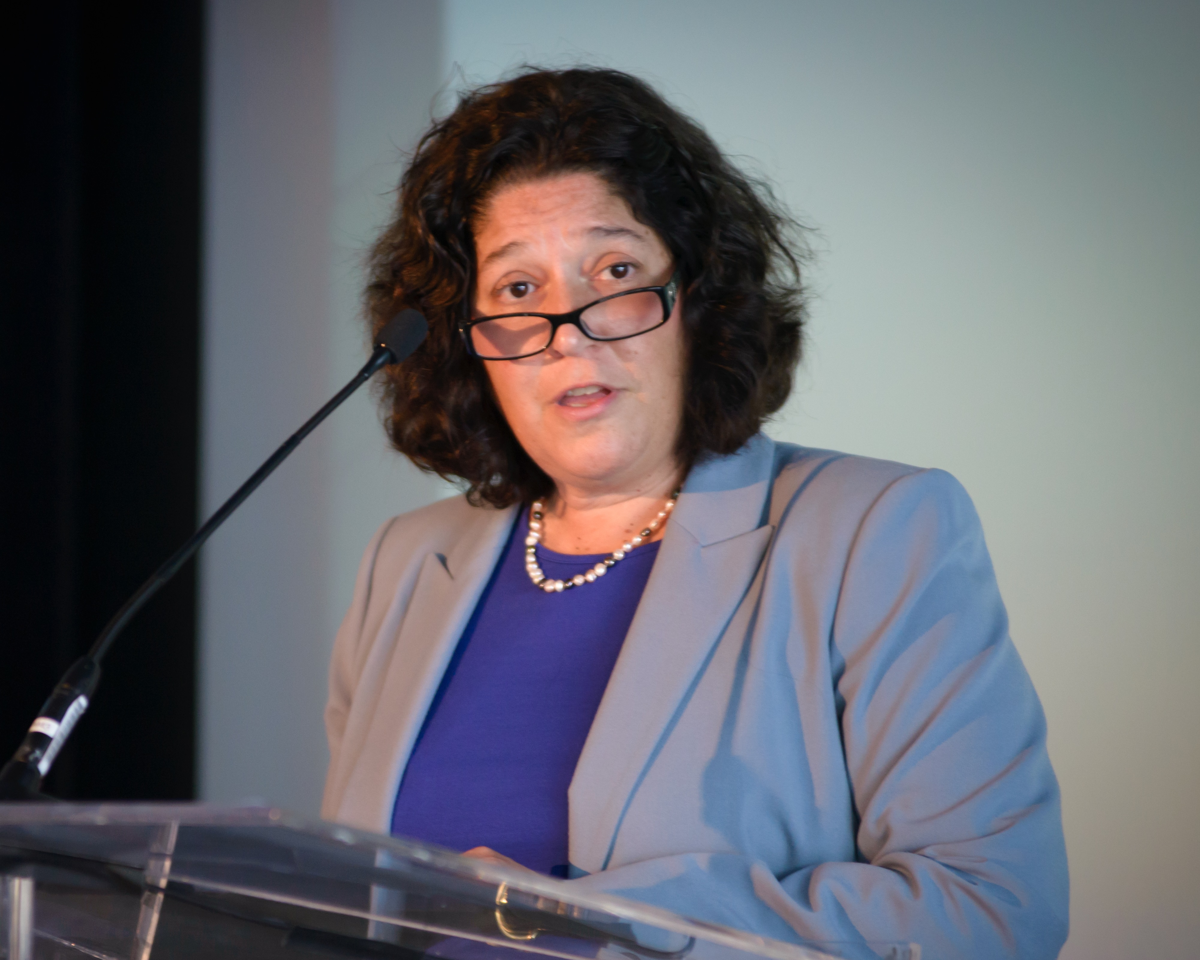 Maria Vullo the DFS Director