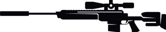 Long Gun