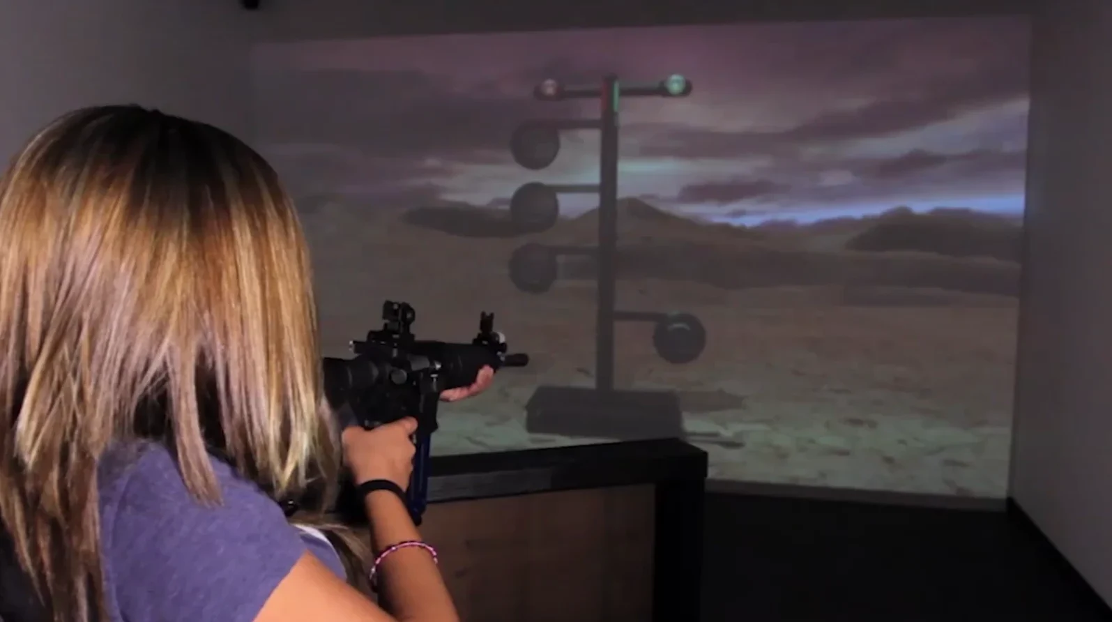 Shooter using a virtual range simulator