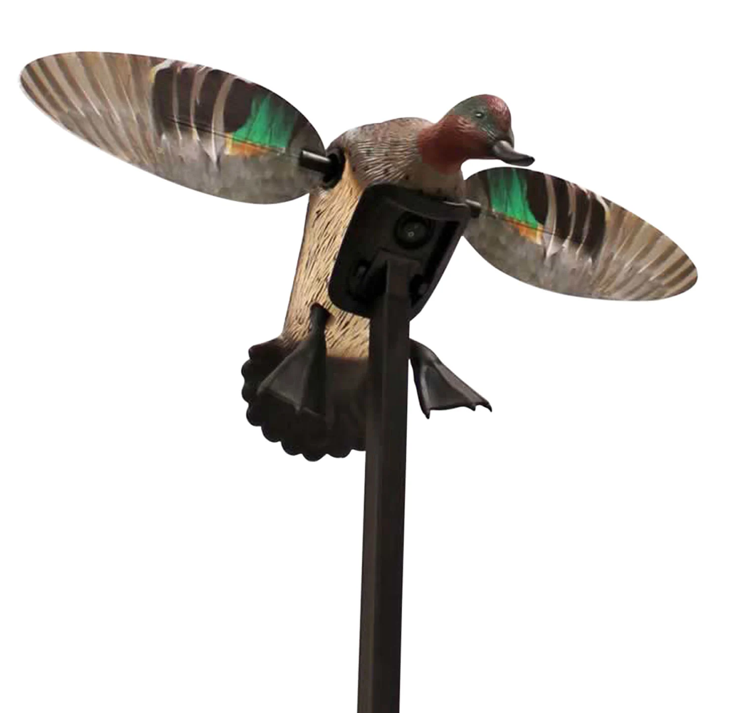 Mojo Outdoors HW24743P Elite Series Green Winged Teal Duck Species Natural Molded Plastic Features Remote Compatible