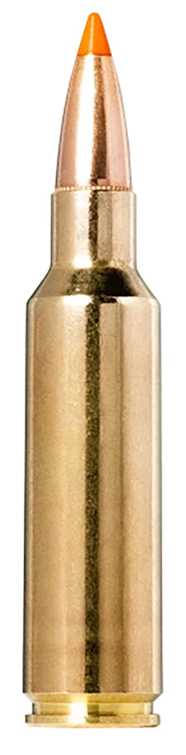 Norma Ammunition 20174022 Tipstrike 300WSM 170gr 20 Per Box/10 Case