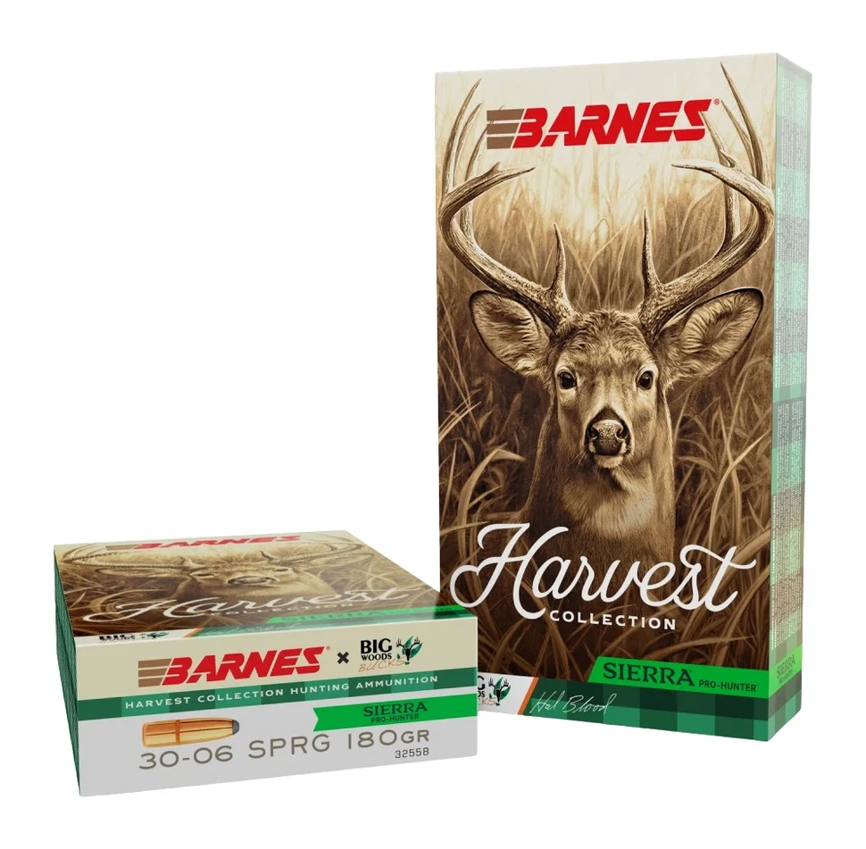 BRNS 32558 SIERRA PRO-HUNTER RN 3006 180GR 20/10