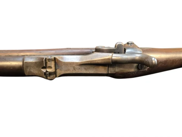 Springfield 1878 Trapdoor Top View