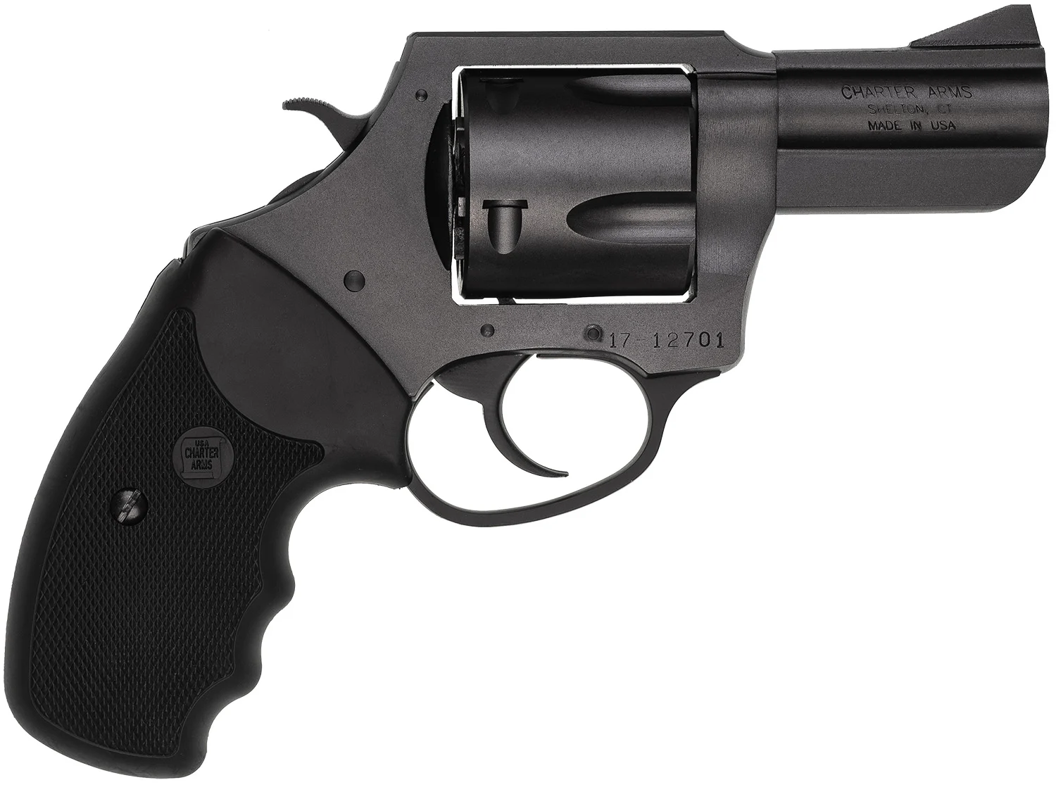 CHARTER ARMS CHARTER PITBULL 45ACP NIT 2.5"