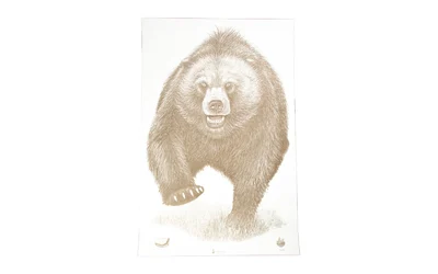 ACTION TGT AK STATE PARK BEAR 100PK
