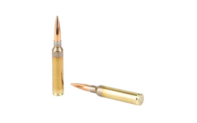 BERGER HYB TRGT 300PRC 215GR 20/200 - Image 4