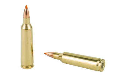 NOSLER 22-250 55GR BT 20/200 - Image 4