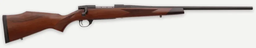 WBY VANGUARD 2 243WIN 22 TB SPORTER