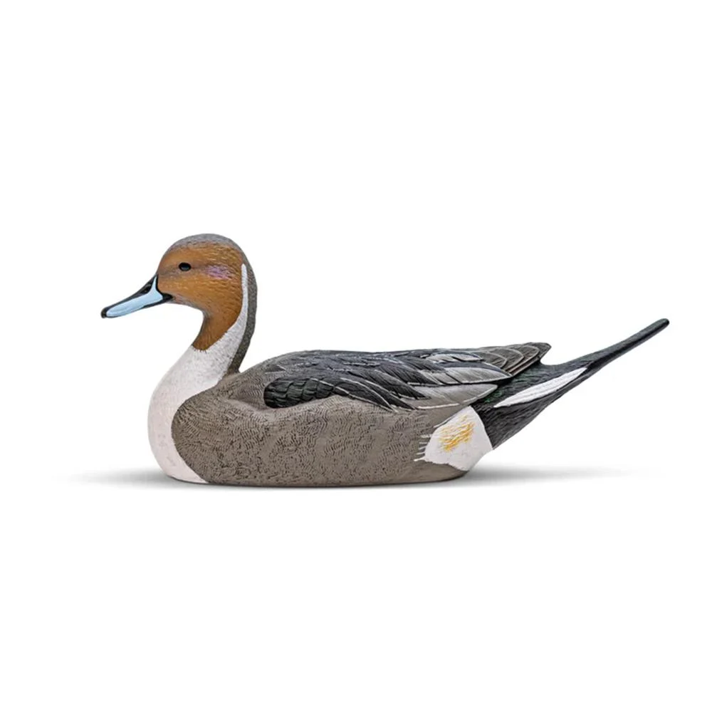 Rig'Em Right Mainline Series Pintail Duck Decoy 6/ct