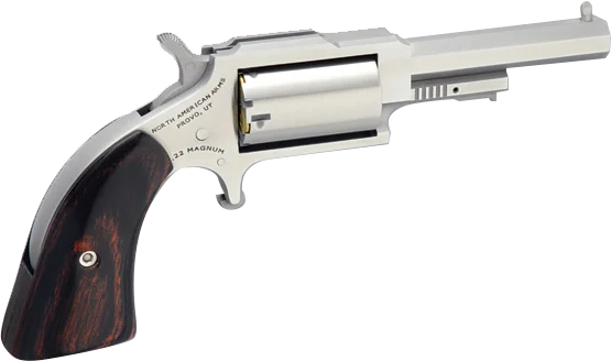 NORTH AMERICAN ARMS SHERIFF 22LR/22MAG 2.5" SS 5SH